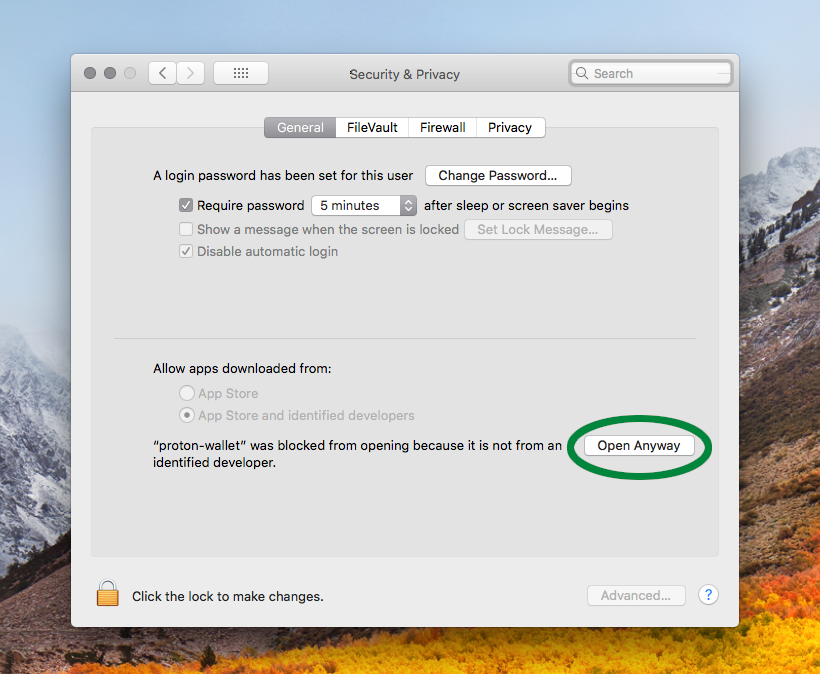 Mac security preferences location of open anyway button