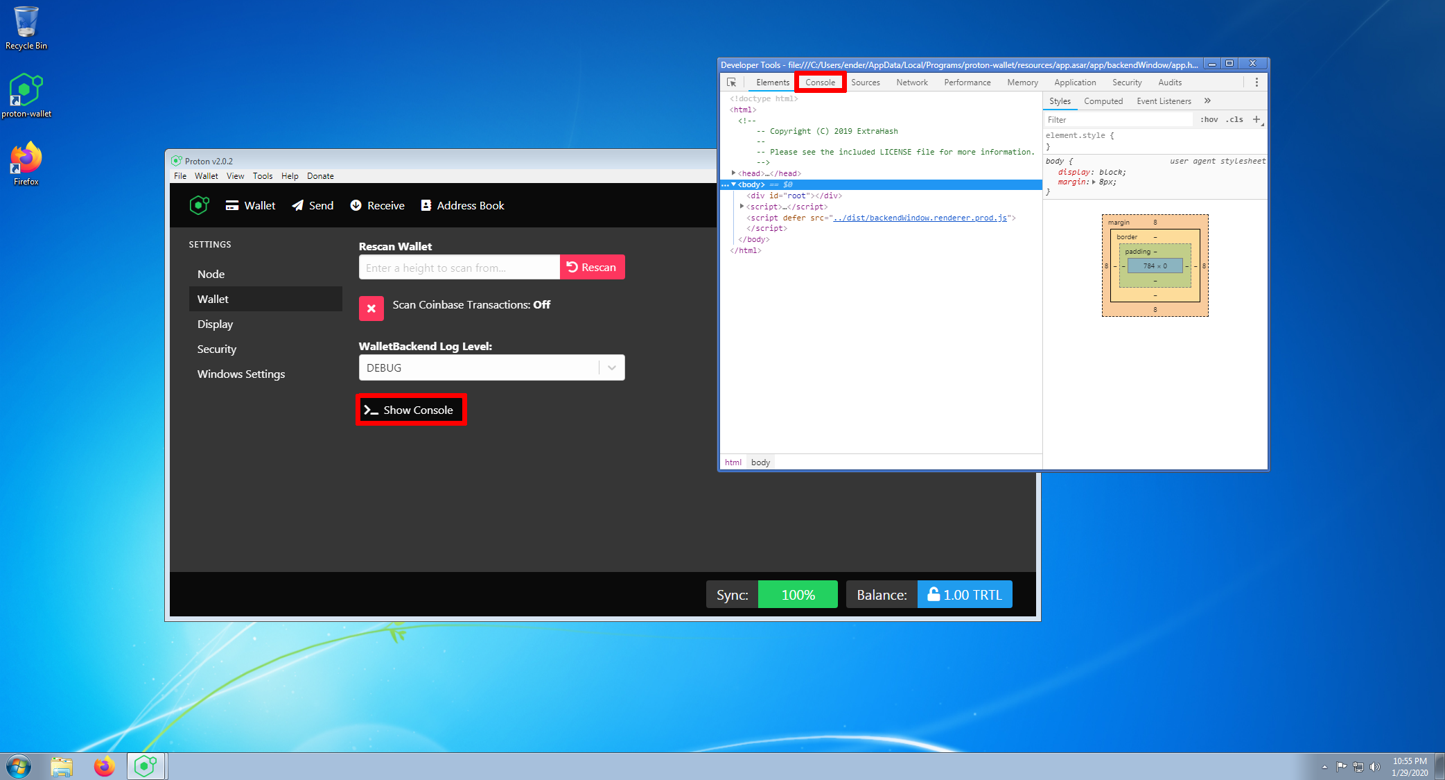 proton wallet dev console